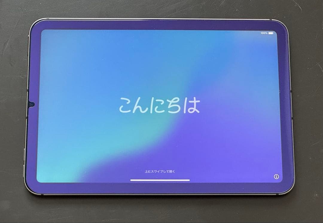 【美品】iPad mini6 64GB セルラーモデル スペースグレイ