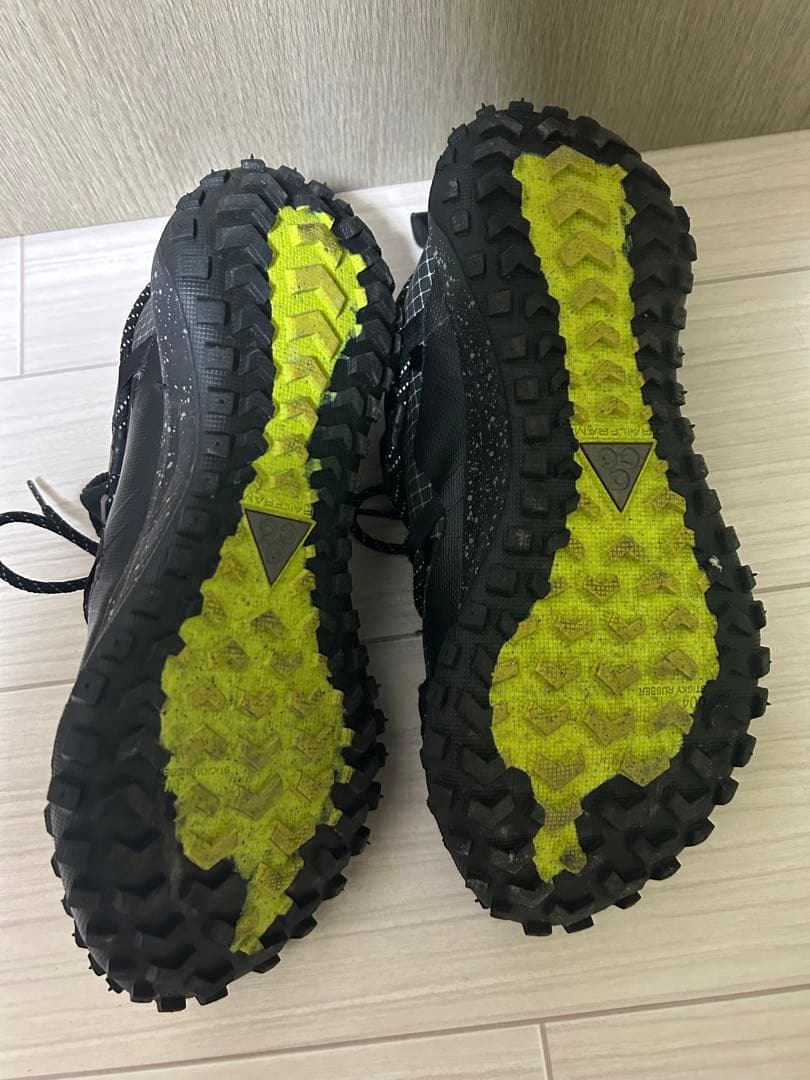 靴 Mountain Fly Low GTX SE