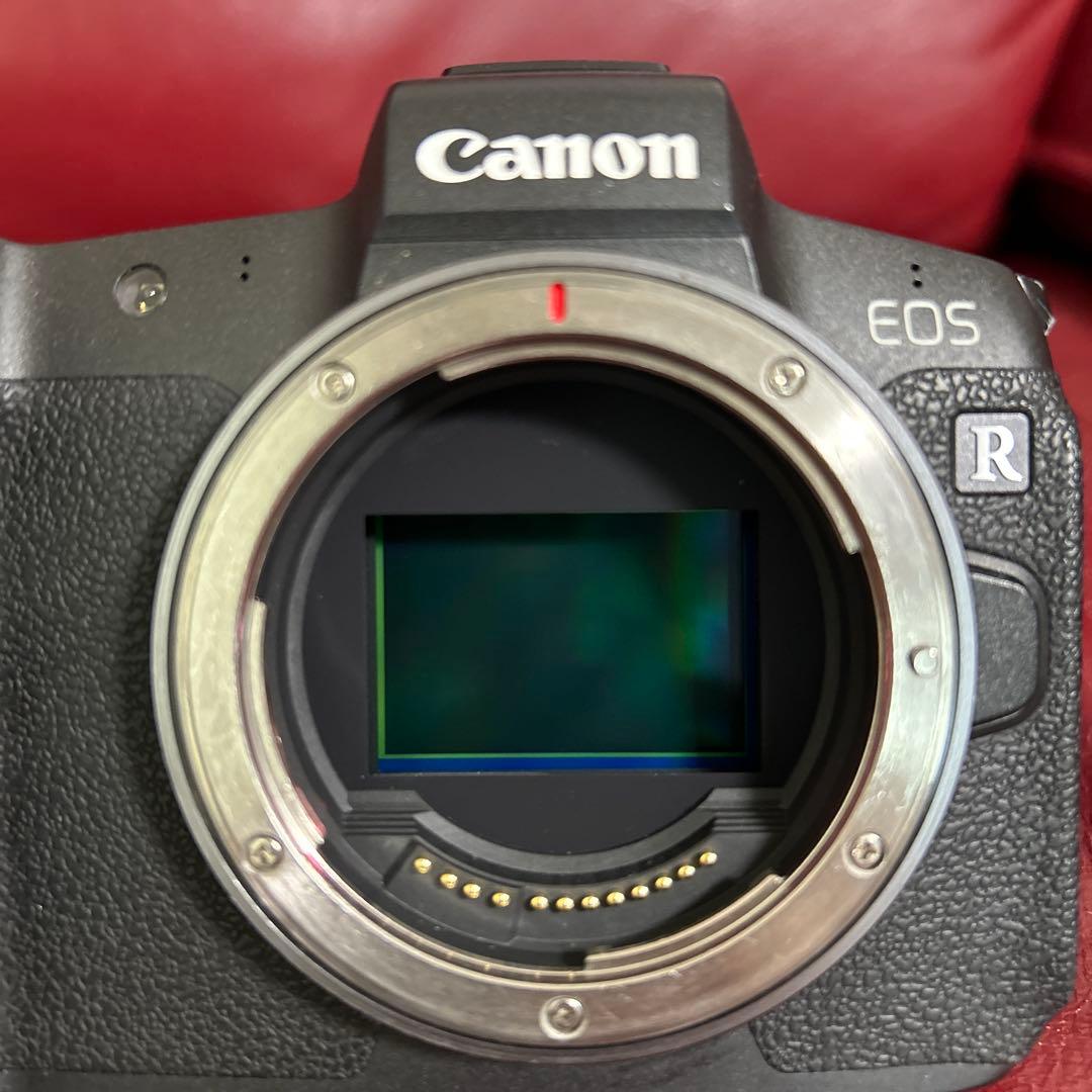1日限定セール！Canon EOS R 本体、バッテリー、充電器のみ