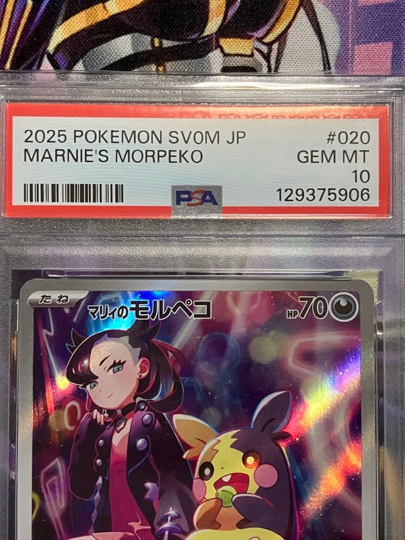 ポケカ　マリィのモルペコ　ar psa10
