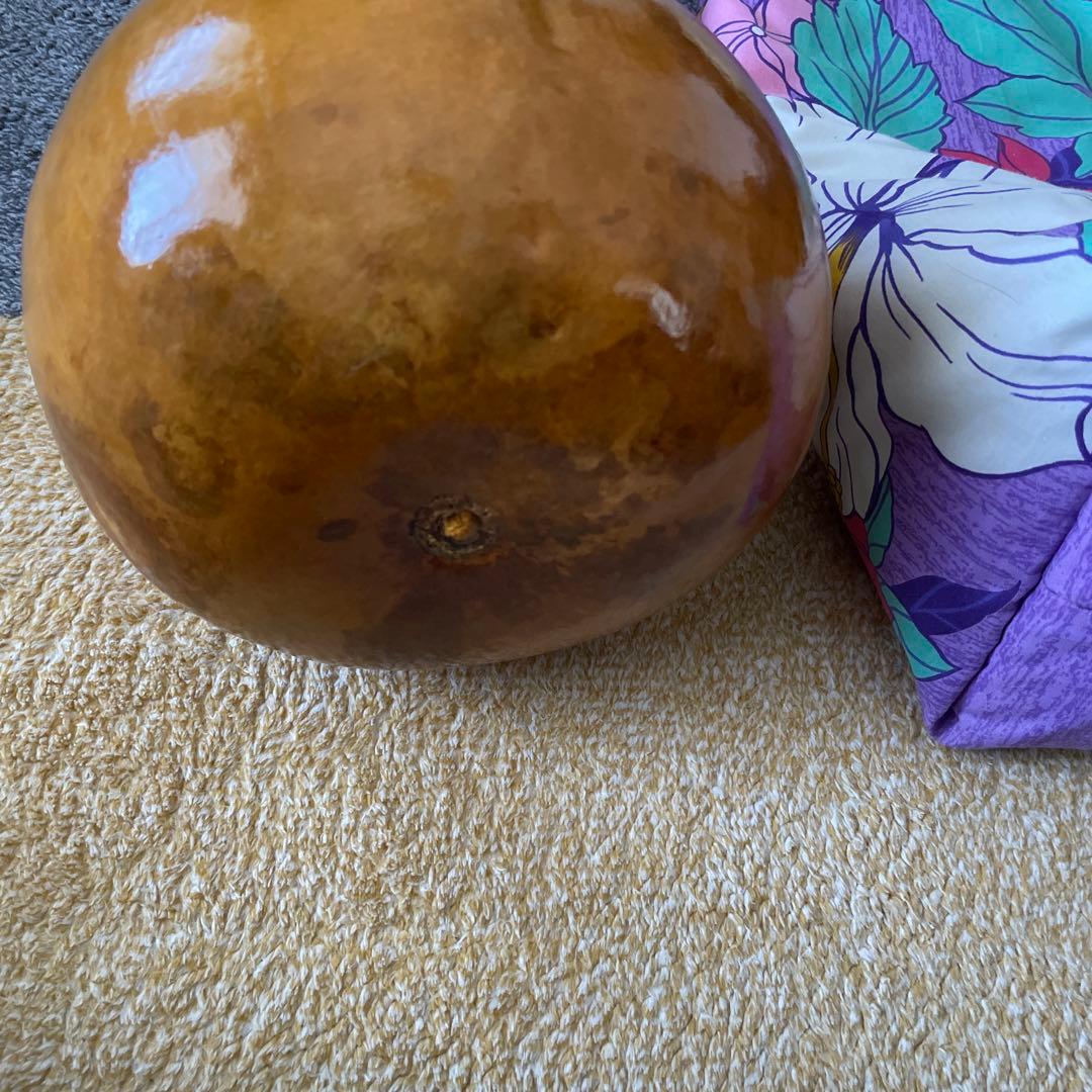 イプ　フラダンス　楽器