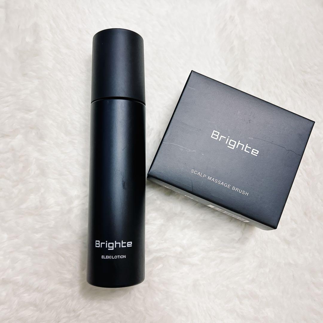 ブライトエレキブラシ Brighte ELEKI BRUSH 美顔器 電気針