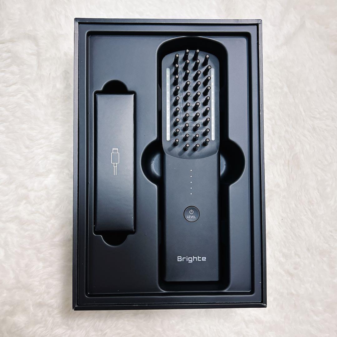 ブライトエレキブラシ Brighte ELEKI BRUSH 美顔器 電気針