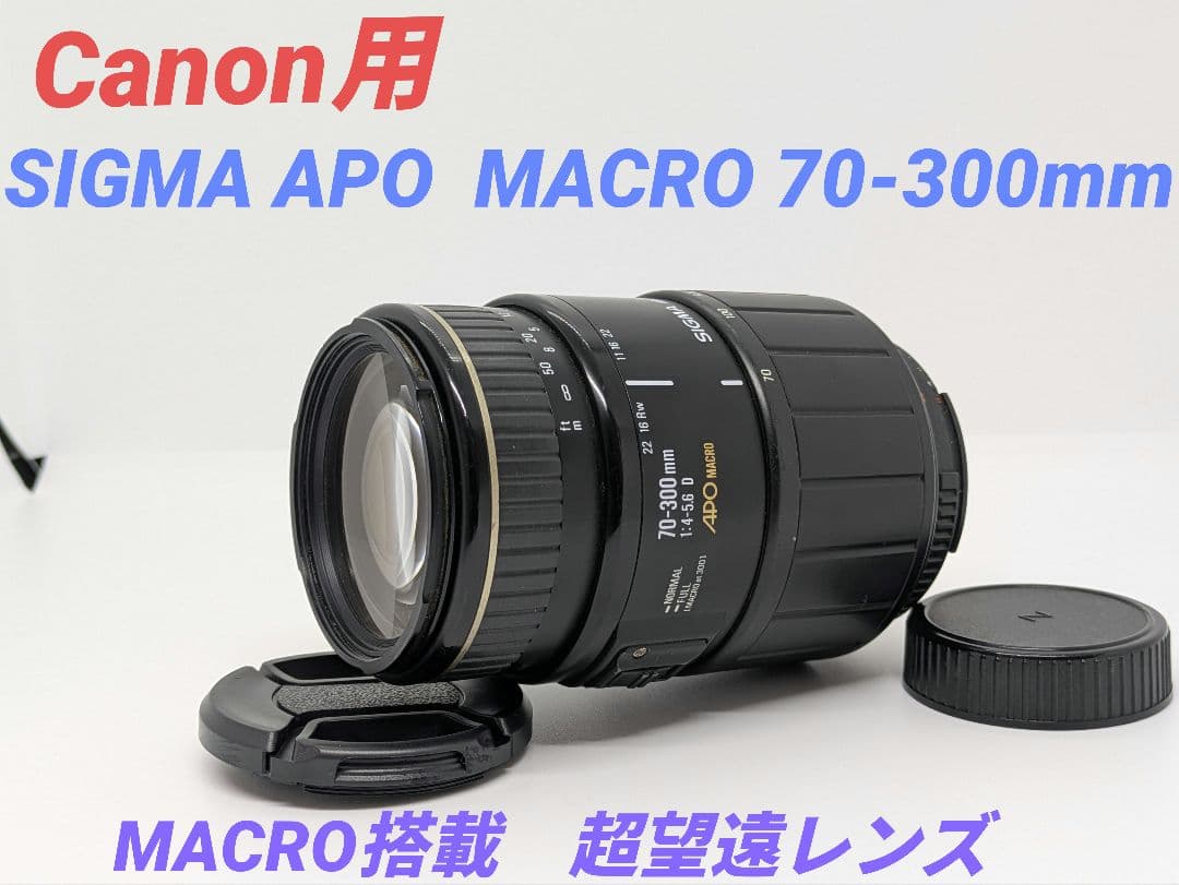 3月30日限定【Canon用】SIGMA APO MACRO 70-300mm