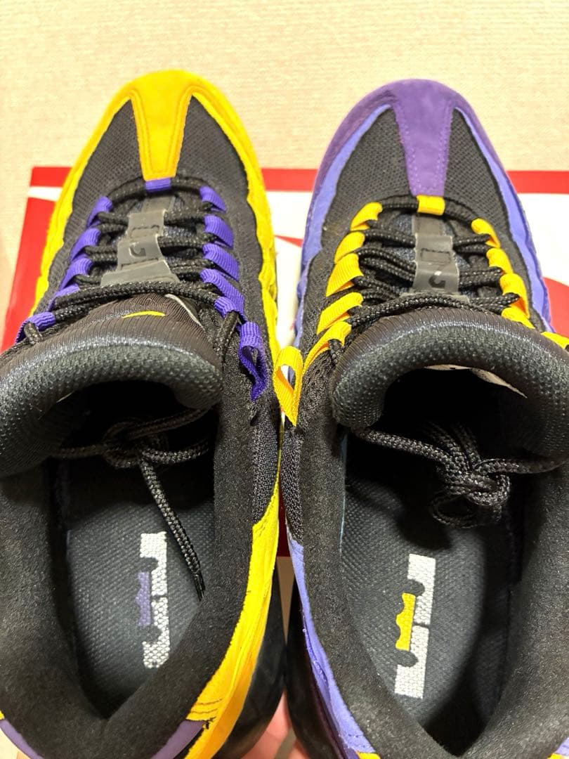 NIKE AIRMAX95 レブロン team 29センチ