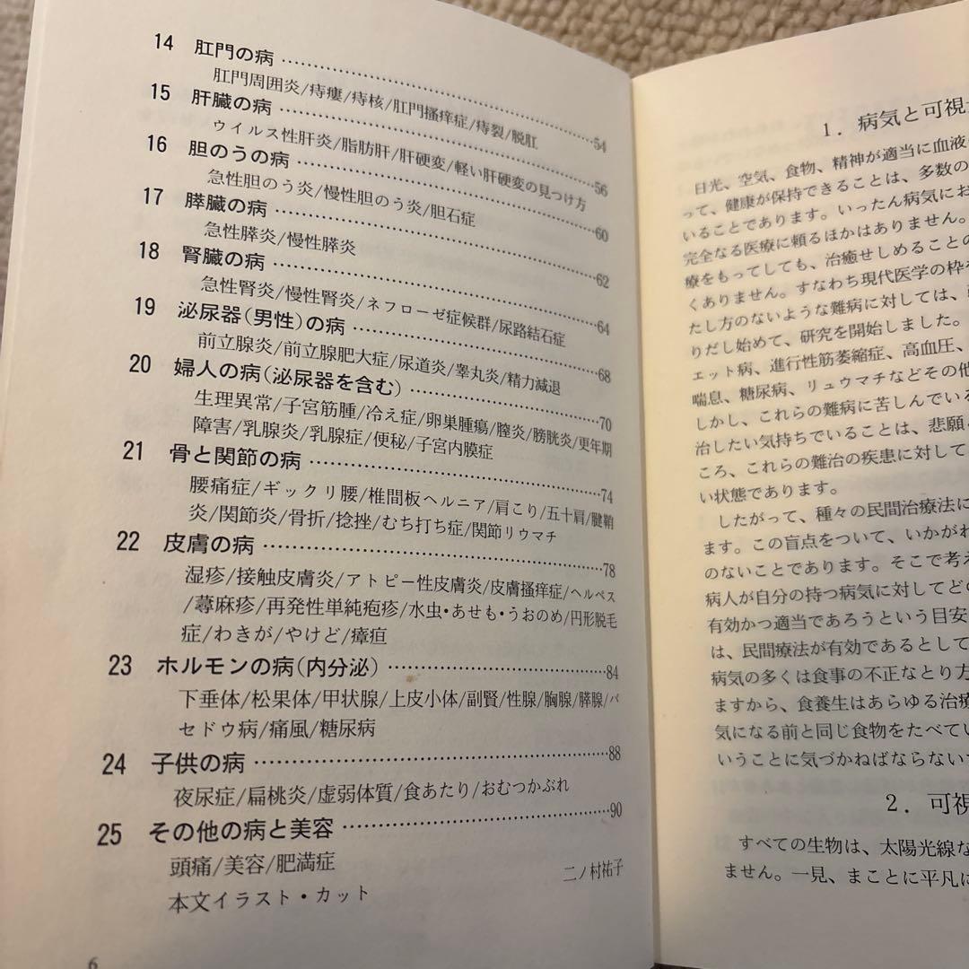 光線治療器　ヘルシーレイ(コウケントーとカーボン互換性あり) 一部ペットにも！