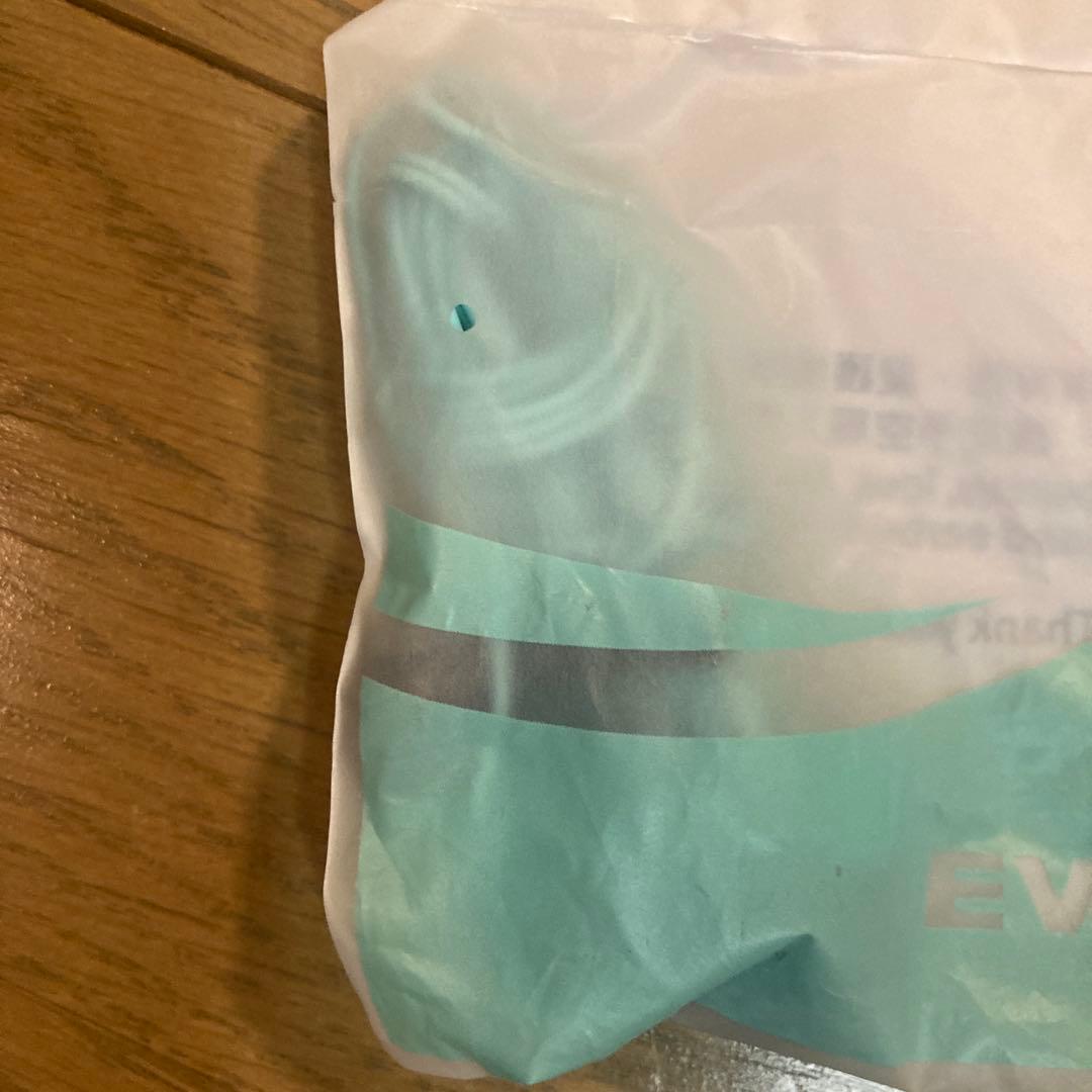 EVA AIR 有線イヤホン ミントグリーン