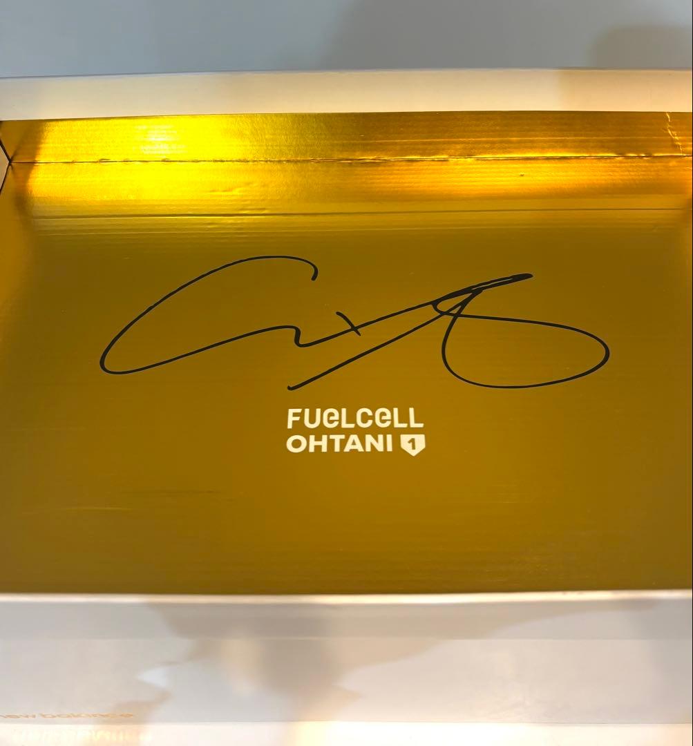 ニューバランス 野球トレーニングシューズ Ohtani v1 Turù 25.5