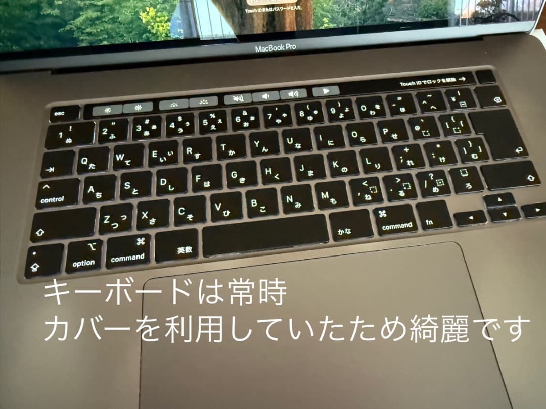 ふ*み様 MacBook Pro 2019 16インチ i9 RAM32GB S