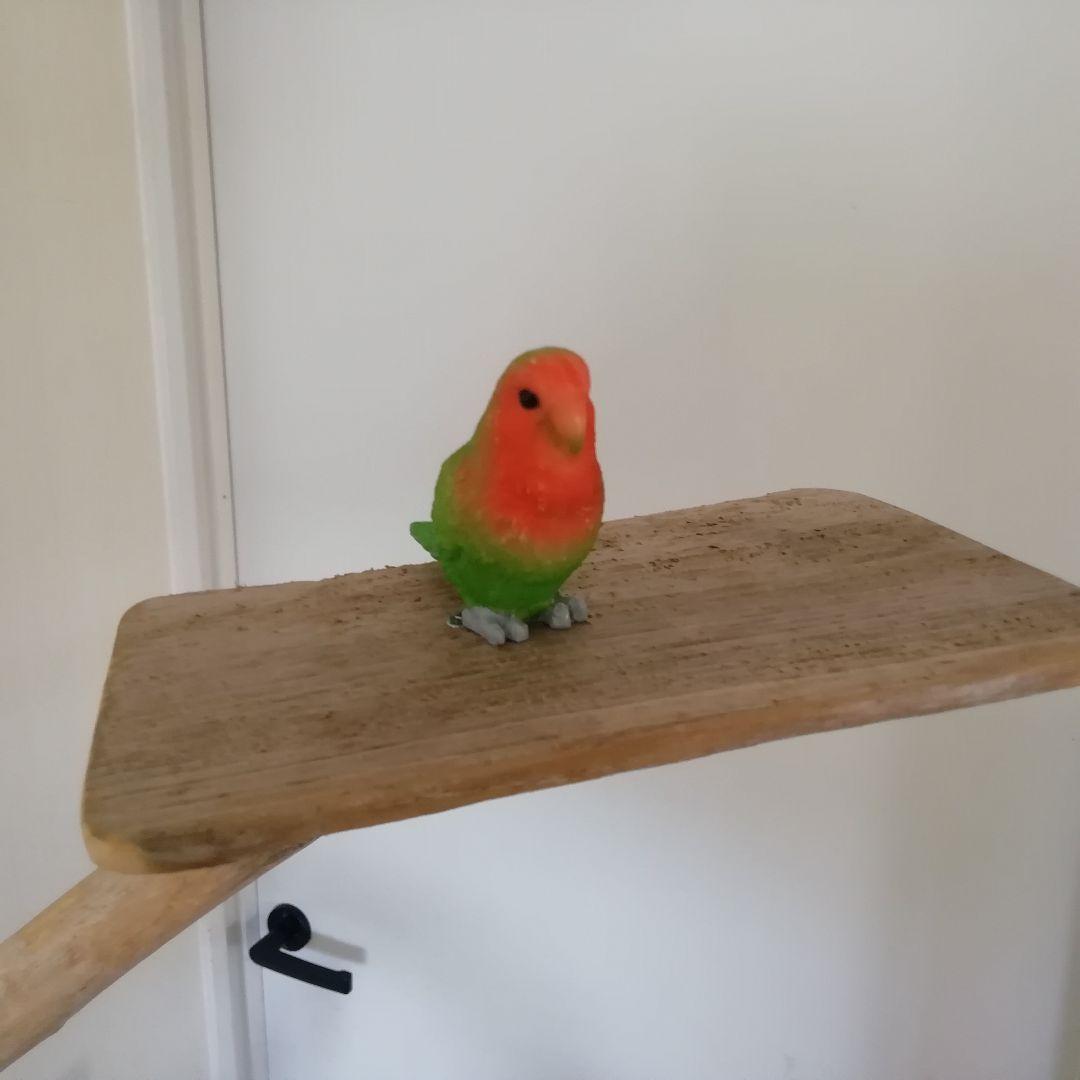 fm バードアスレチックジム 天然木 自然木 流木 止まり木 インコ