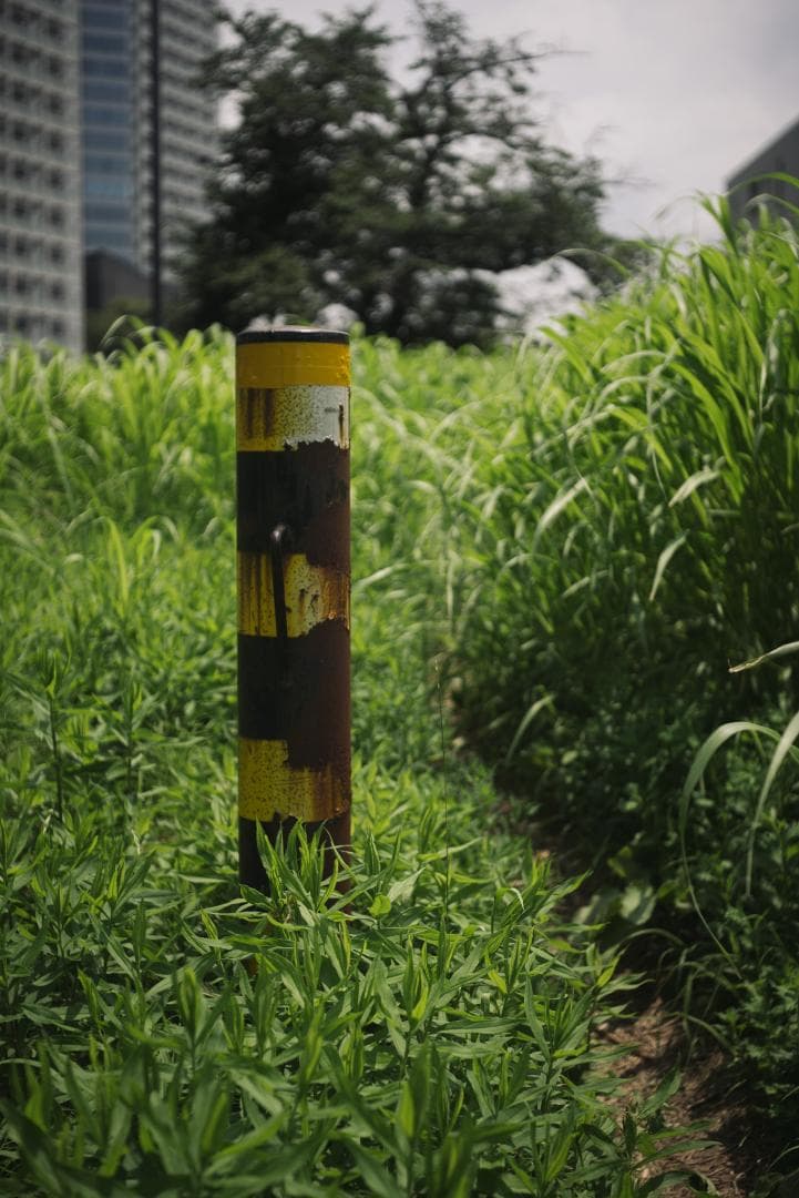 赤エルマー！Red Scale Elmar 50mm F3.5 オールドレンズ