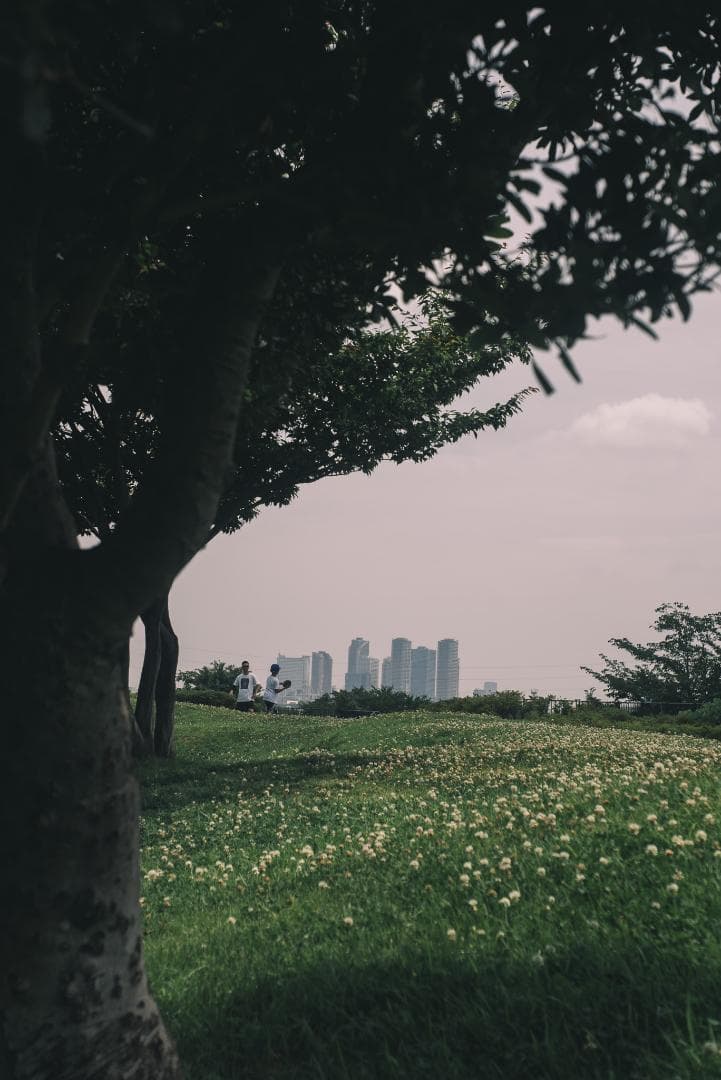 赤エルマー！Red Scale Elmar 50mm F3.5 オールドレンズ