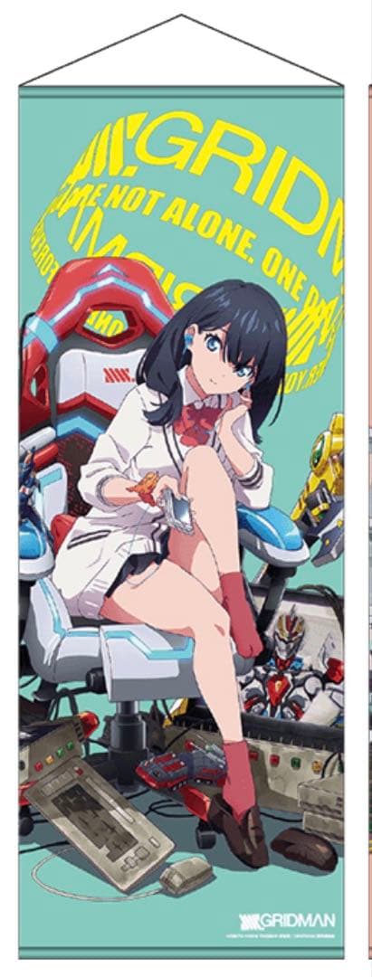 SSSS.GRIDMAN×ヴィレッジヴァンガード　宝多六花 等身大タペストリー