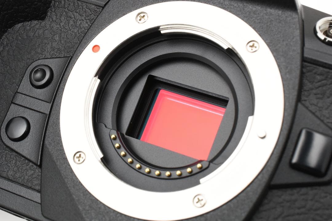 ■ショット数13912回■OLYMPUS OM-D E-M1 Mark II