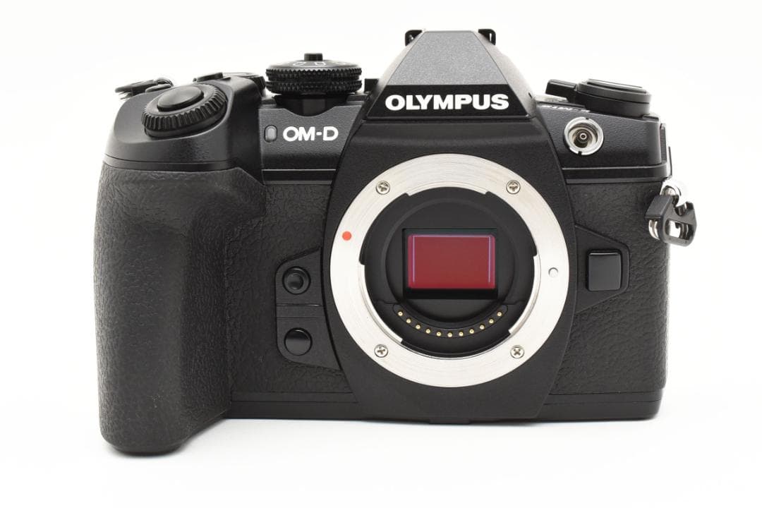 ■ショット数13912回■OLYMPUS OM-D E-M1 Mark II