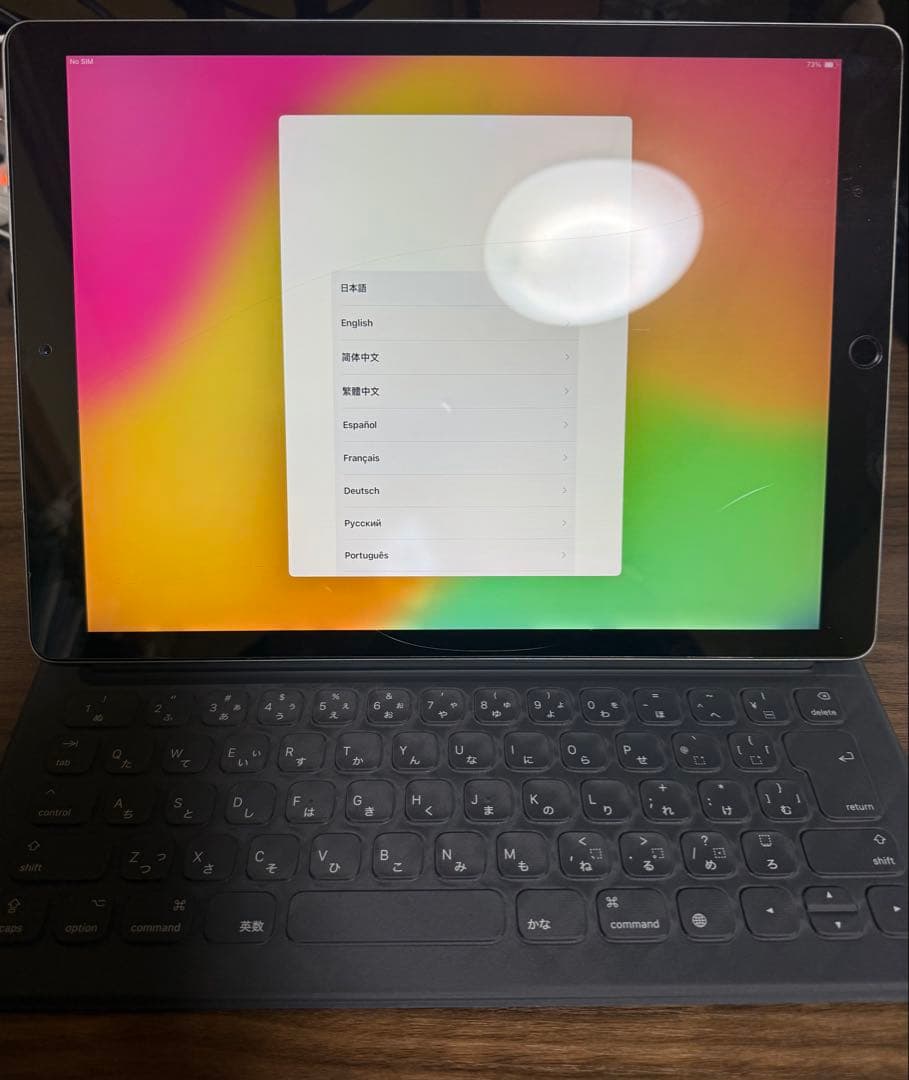 iPad Pro 12.9インチ (第2世代) 256G