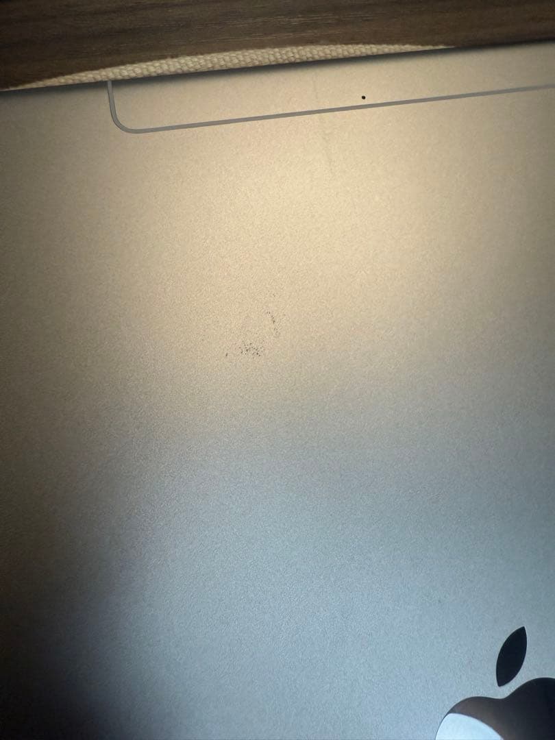 iPad Pro 12.9インチ (第2世代) 256G