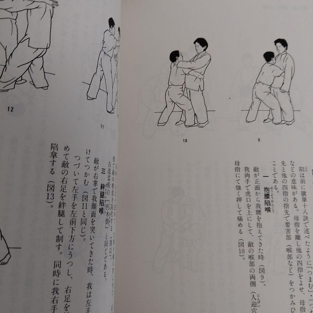 正伝実戦擒拿術　中国武術関節技のすべて 佐藤 金兵衛