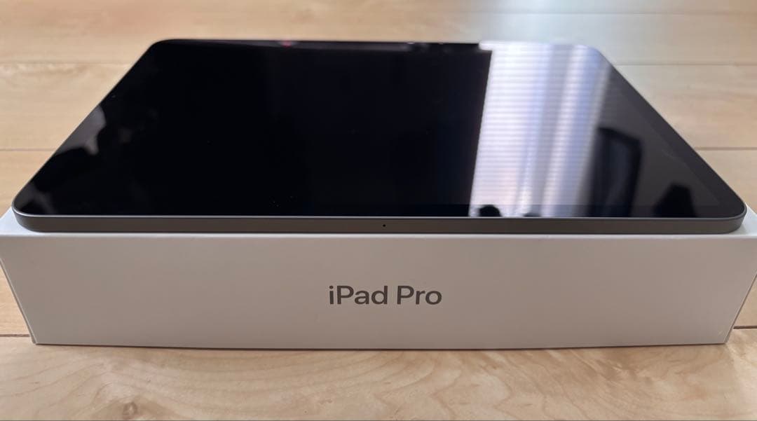 iPad Pro 11インチ スペースグレイ 256GB