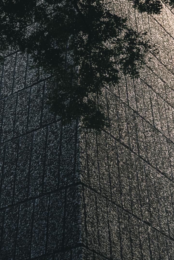 極細中望遠！Leica Elmar 90mm F4 Mマウント オールドレンズ