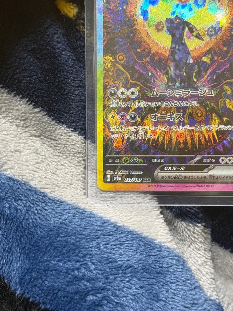 ポケモンカード　テラスタルフェスex　ブラッキーex　SAR