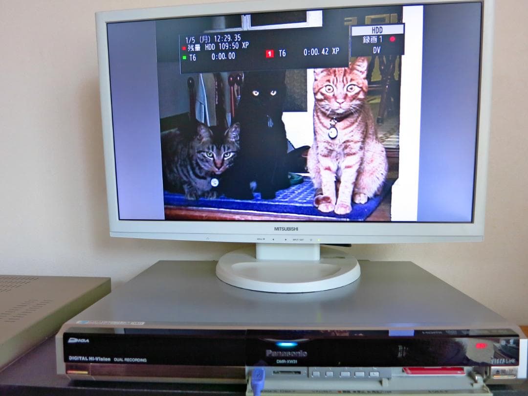 Panasonic HDD内蔵W録画DVDレコーダー DMR-XW31