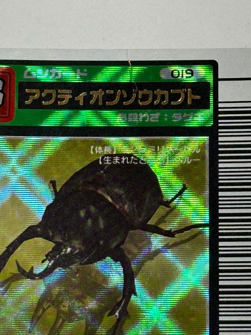 アクティオンゾウカブト　2003 黒文字