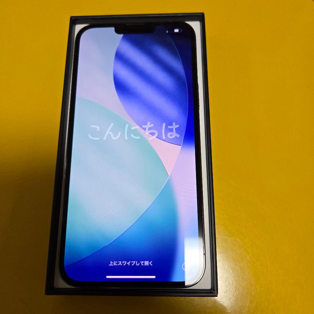 iPhone 13 Pro Max 1TB 本体 シエラブルー