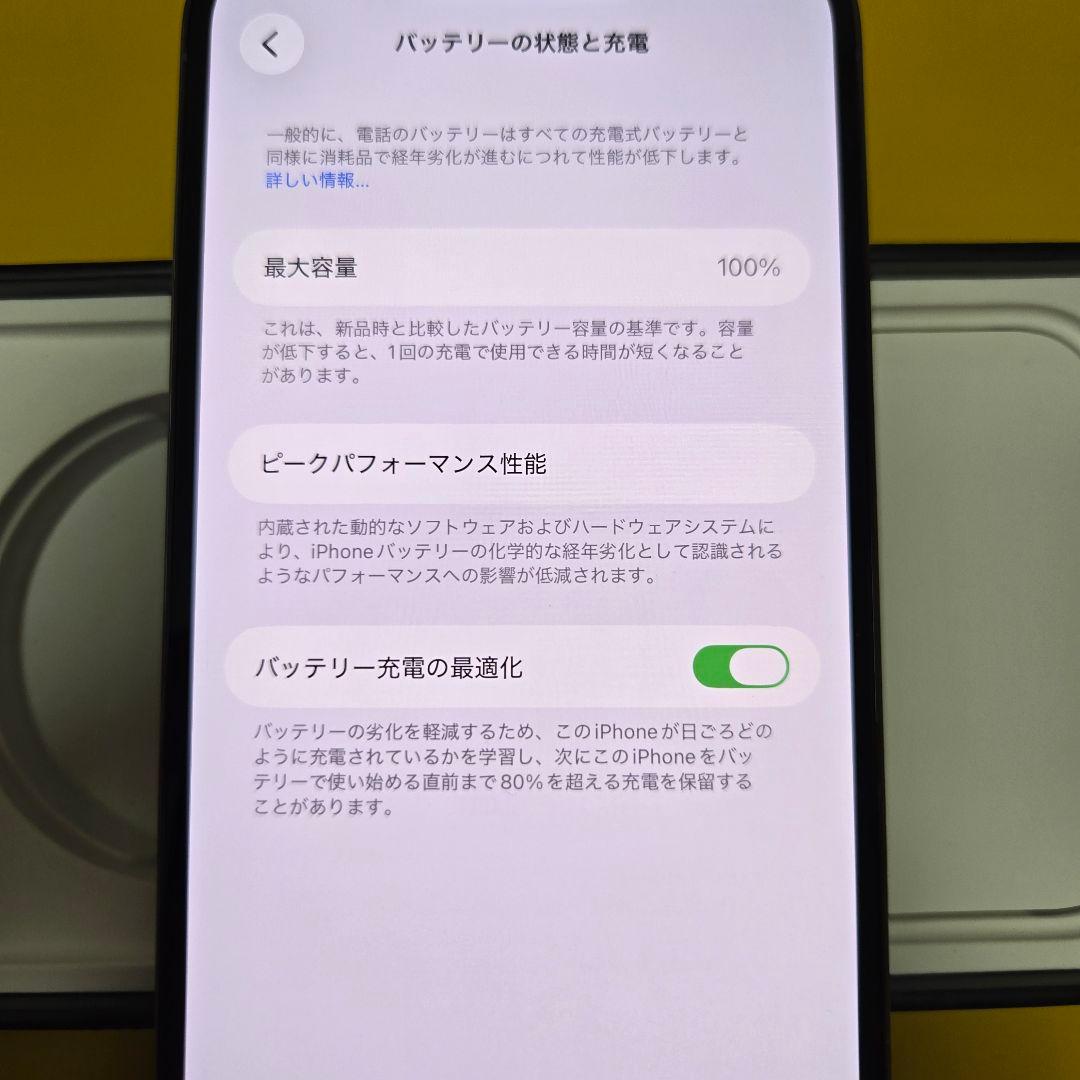 iPhone 13 Pro Max 1TB 本体 シエラブルー