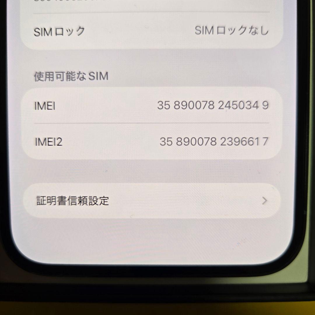 iPhone 13 Pro Max 1TB 本体 シエラブルー