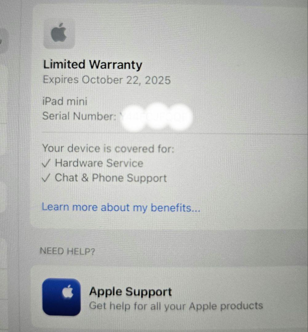 美品 IPAD MINI A17 pro + apple pencil pro