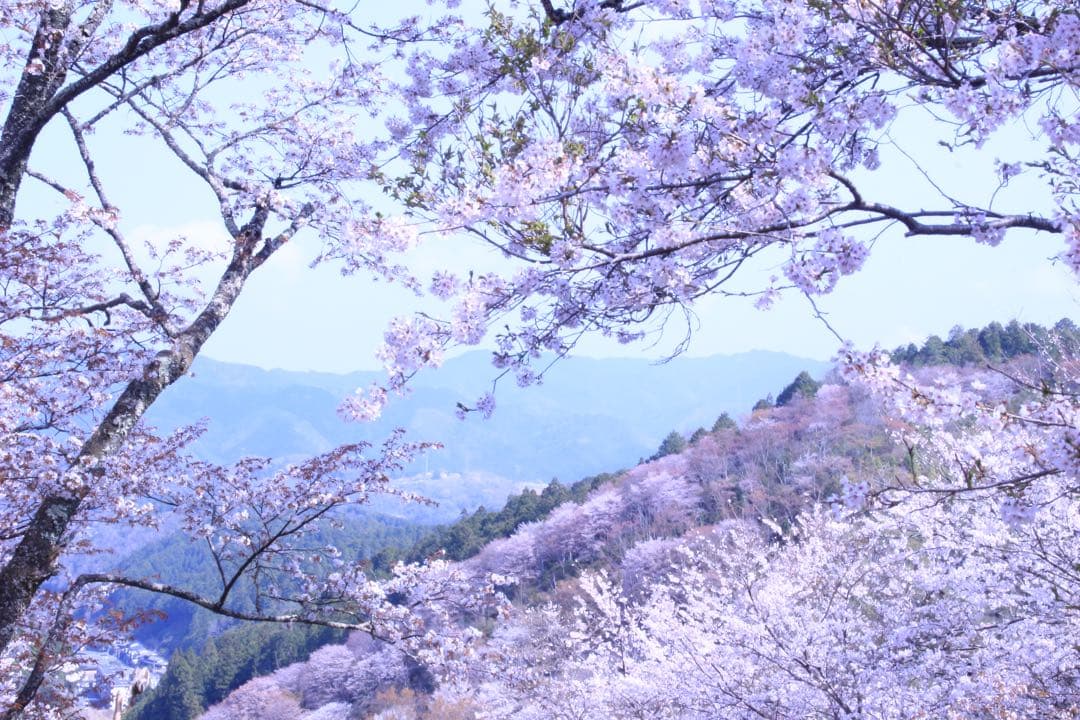 シグマズームレンズ18～200mm キヤノンEFマウント