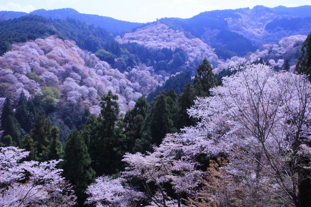 シグマズームレンズ18～200mm キヤノンEFマウント