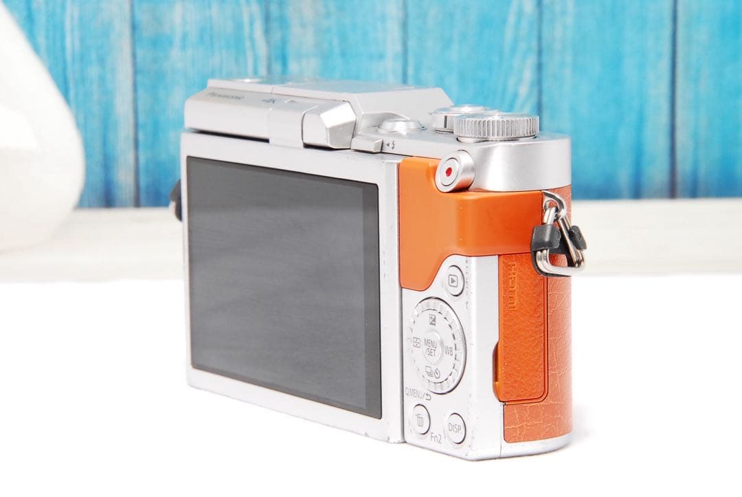 ショット数611回 LUMIX GF9 SNS Wi-Fi チルト ミラーレス