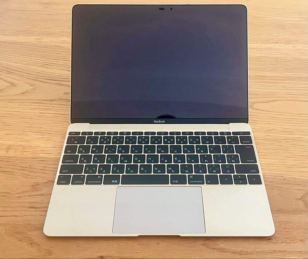 【ジャンク品】Apple MacBook シャンパンゴールド 12インチ