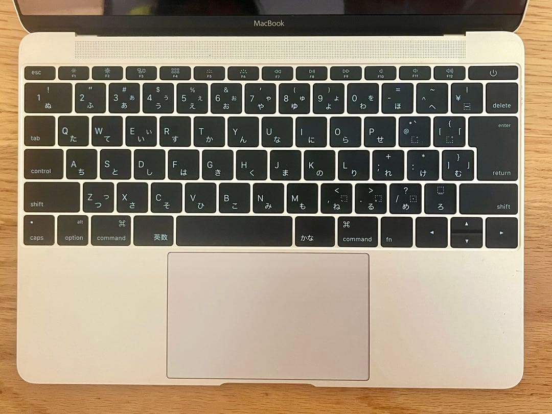 【ジャンク品】Apple MacBook シャンパンゴールド 12インチ
