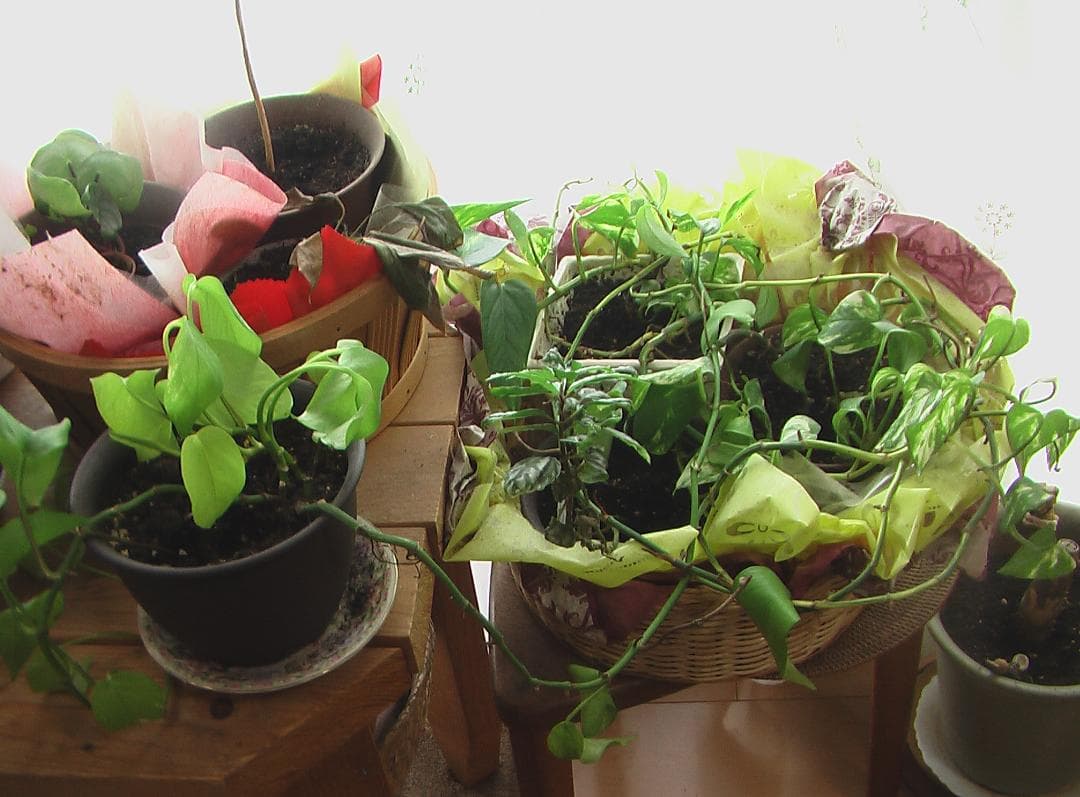 撮影画像あり　良品　Panasonic　SDR-S100　付属品有　動作良好