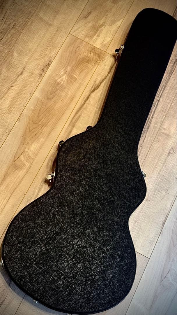 【ハードケース付き】PRS SE Hollowbody II