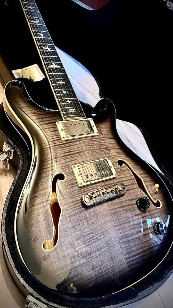 【ハードケース付き】PRS SE Hollowbody II