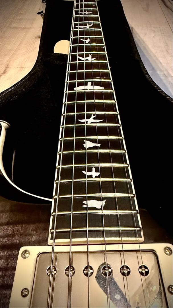 【ハードケース付き】PRS SE Hollowbody II