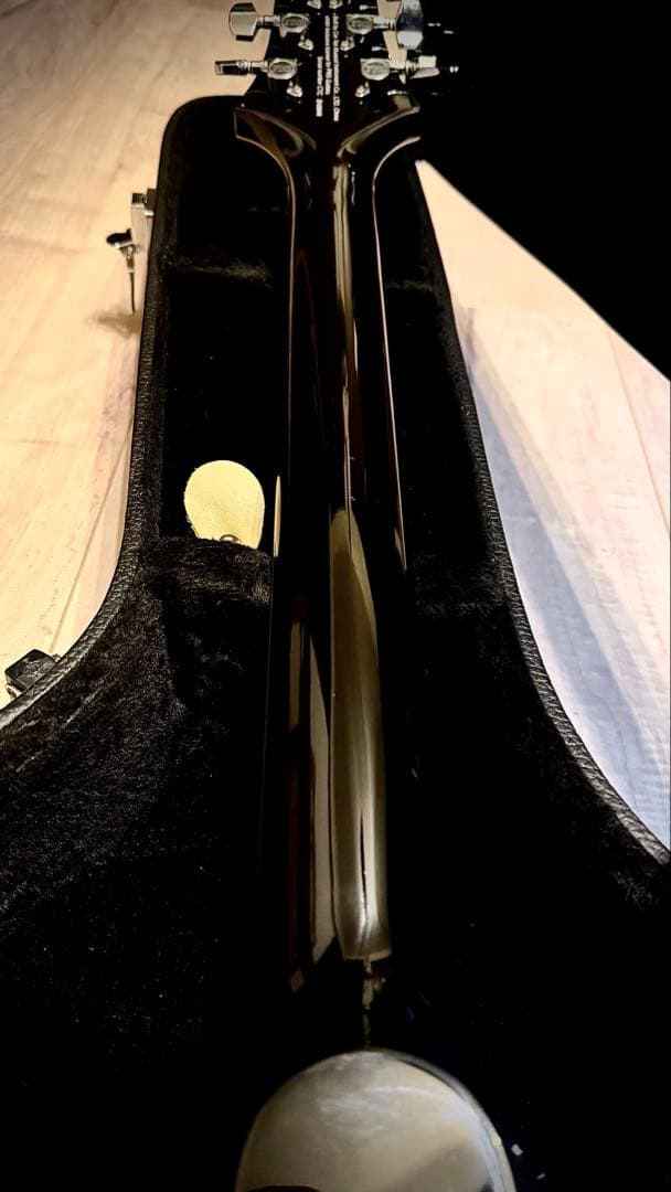 【ハードケース付き】PRS SE Hollowbody II