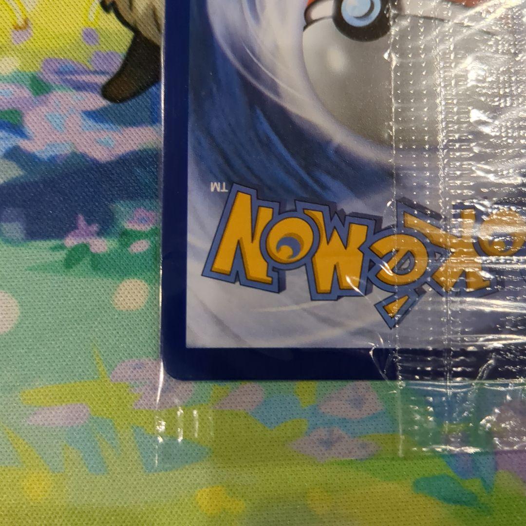 R*O様 【Y6】メガリザードンX ex プロモ ウルトラプレミアムコレクション