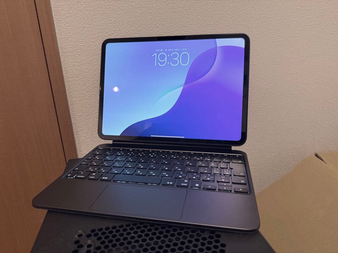 iPad Pro M4 11インチ スペースブラック 256GB 付属品付き