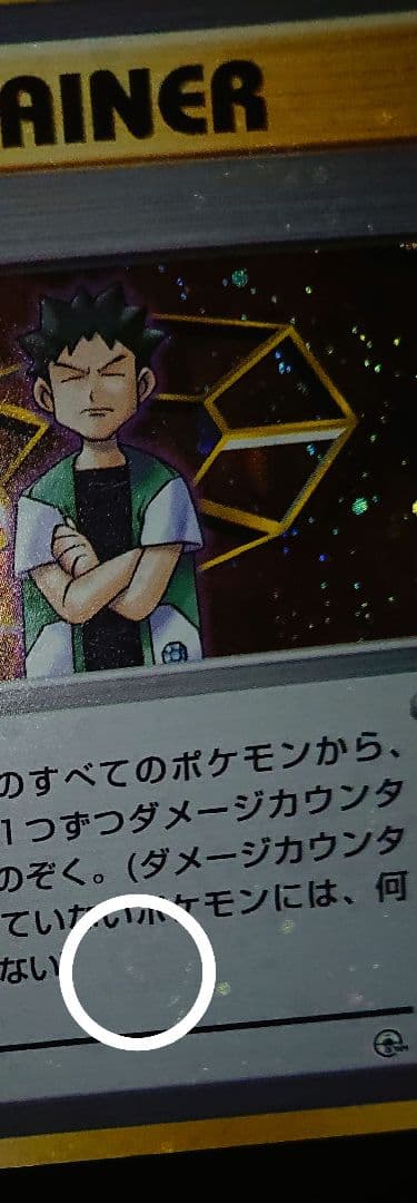 全面ホロ　ジムリーダー8枚complete