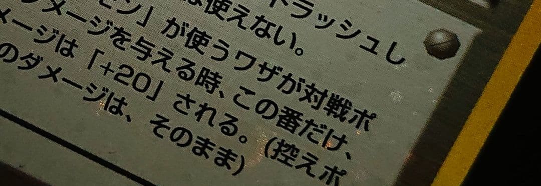 全面ホロ　ジムリーダー8枚complete