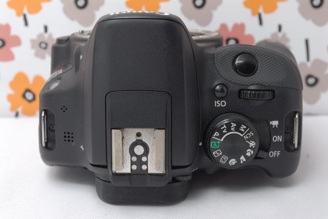 ❤Canon Kiss X7❤スマホ転送OK❤冬のイベント撮影に❤軽量＆高画質❤