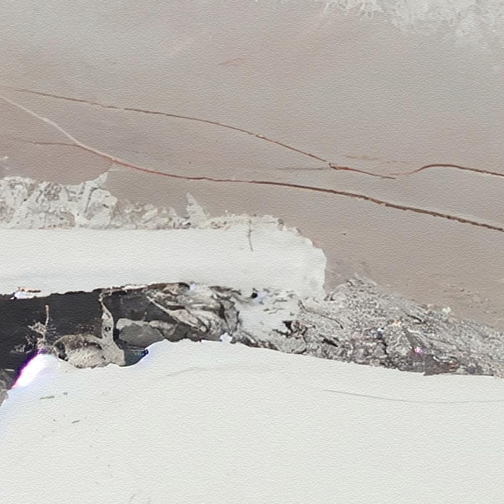 **専用**A3インテリアポスター マチス切り絵 D477 3枚セット