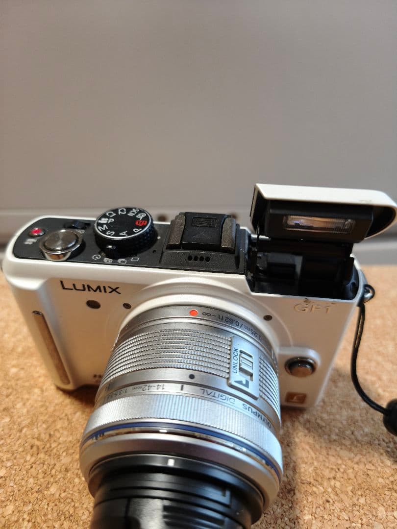 LUMIX DMC-GF1 パナソニック ルミックス おまけ付き