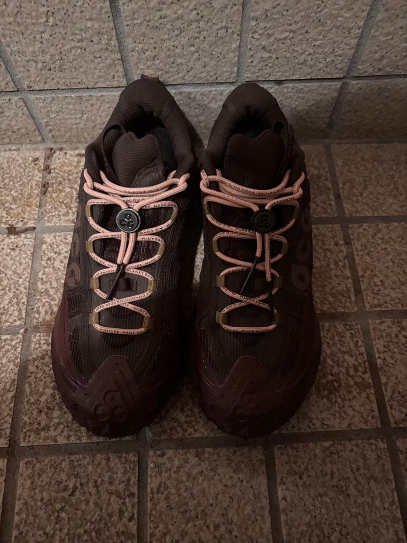 靴 NIKE ACG MOUNTAIN FLY 2 LOW GTX