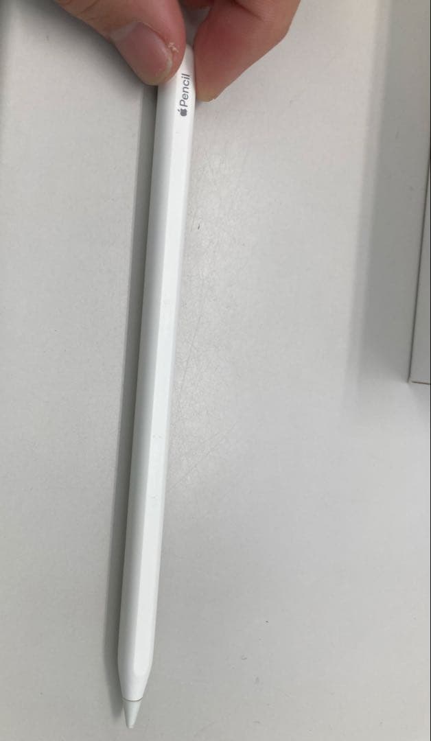 iPad Pro1世代 Apple pencil2世代セット